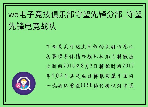we电子竞技俱乐部守望先锋分部_守望先锋电竞战队